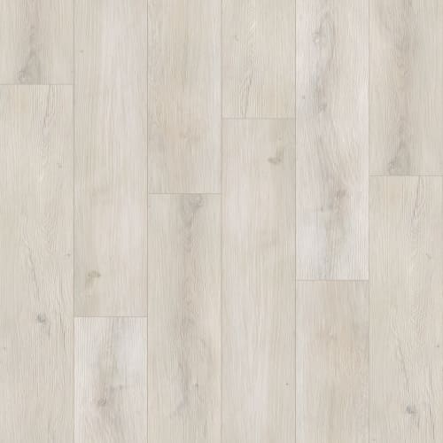 DENTN4