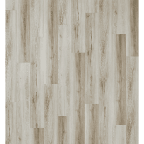 NHC  SALA－V Nuvelle - Density XL 9