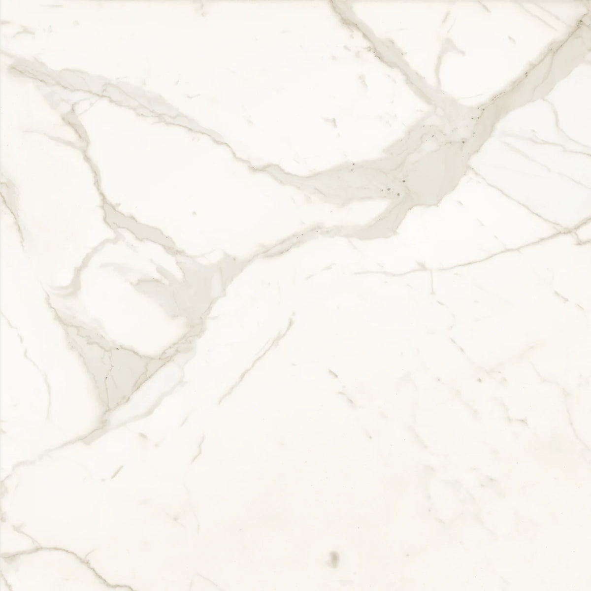 Bedrosians - Magnifica The Thirties - 30&quot; x 30&quot; Glazed Porcelain Tile - Calacatta Super White Polished
