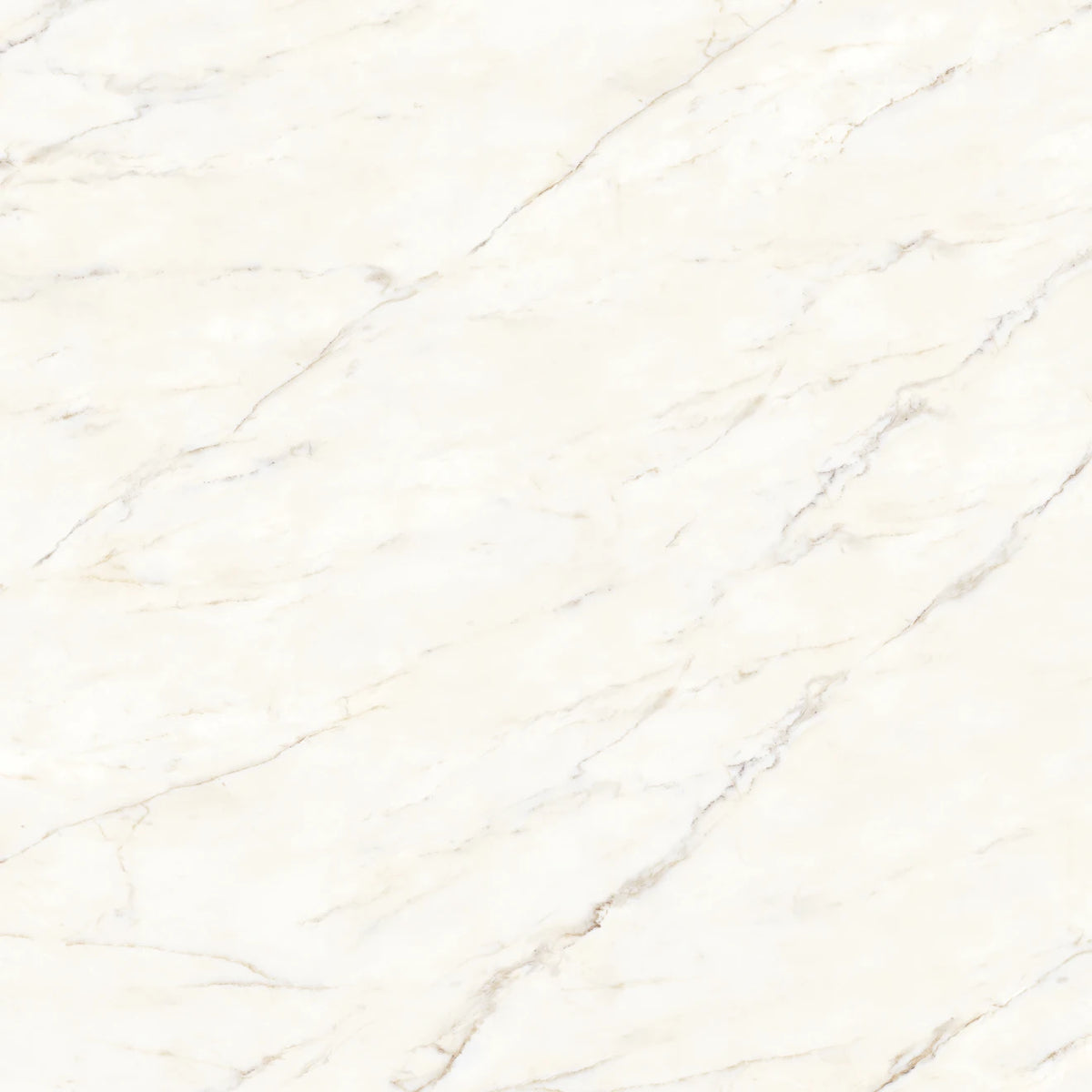 Bedrosians - Magnifica The Thirties - 30&quot; x 30&quot; Glazed Porcelain Tile - Calacatta Oro Polished