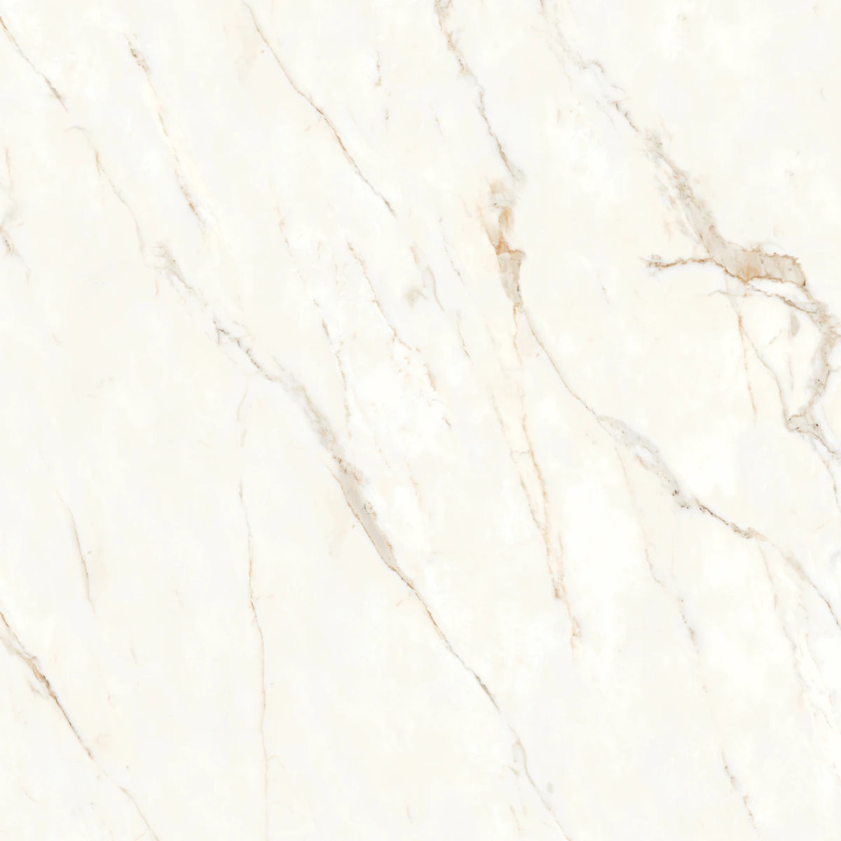 Bedrosians - Magnifica Nineteen Forty-Eight - 48&quot; x 48&quot; Glazed Porcelain Tile - Calacatta Oro