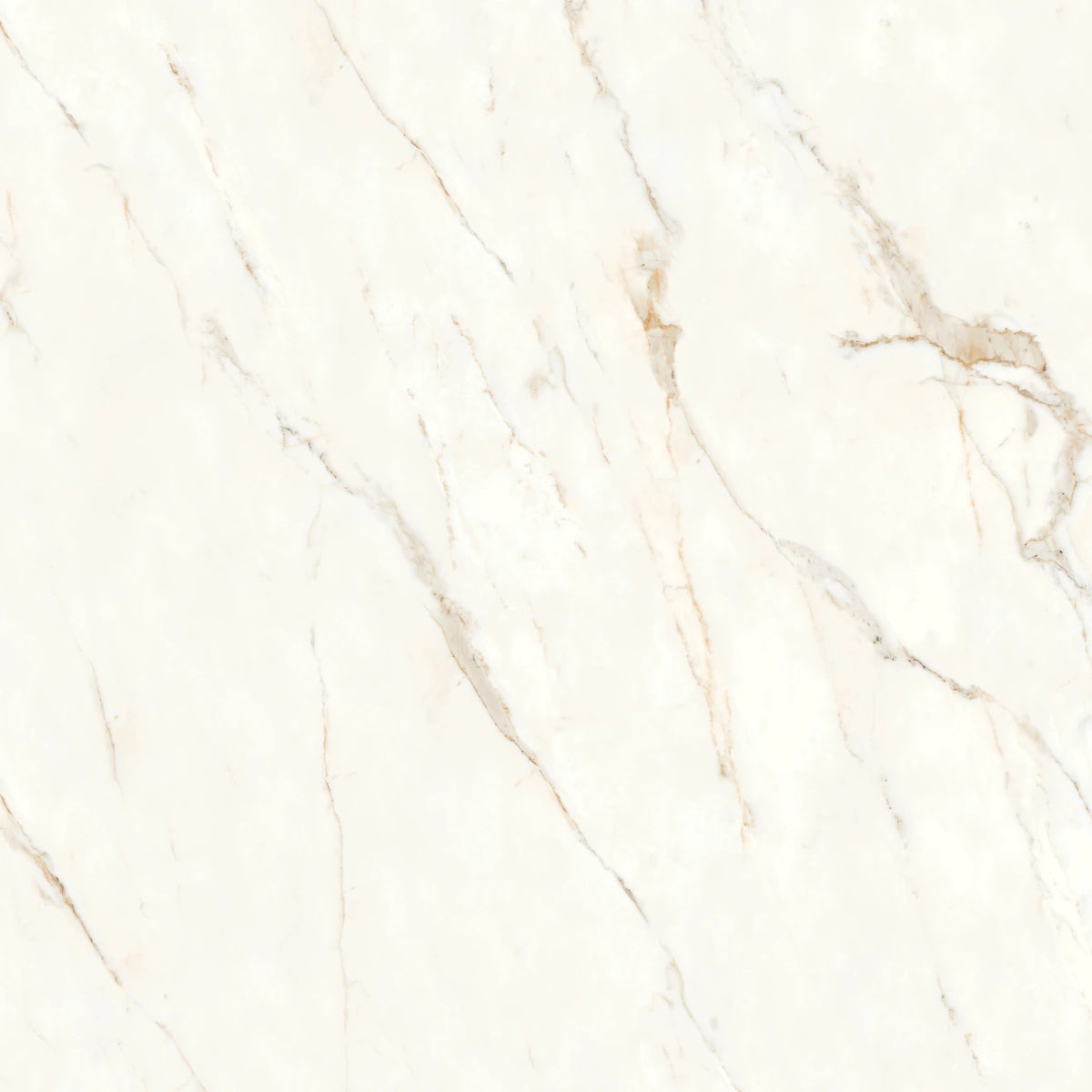 Bedrosians - Magnifica Nineteen Forty-Eight - 48&quot; x 48&quot; Glazed Porcelain Tile - Calacatta Oro Polished