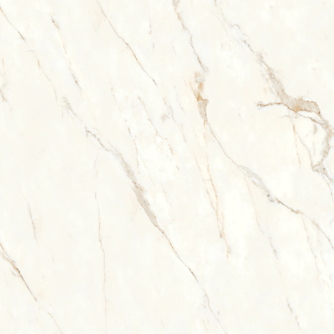 Bedrosians - Magnifica Nineteen Forty-Eight - 48" x 48" Glazed Porcelain Tile - Calacatta Oro Polished