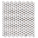 DW Tile & Stone - Penny Round Bianco Gioia Marble Mosaic Tile - Polished