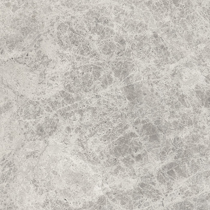 DW Tile & Stone - Silver Shadow 12" x 12" Marble Tile - Honed