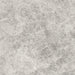 DW Tile & Stone - Silver Shadow 18" x 18" Marble Tile - Polished