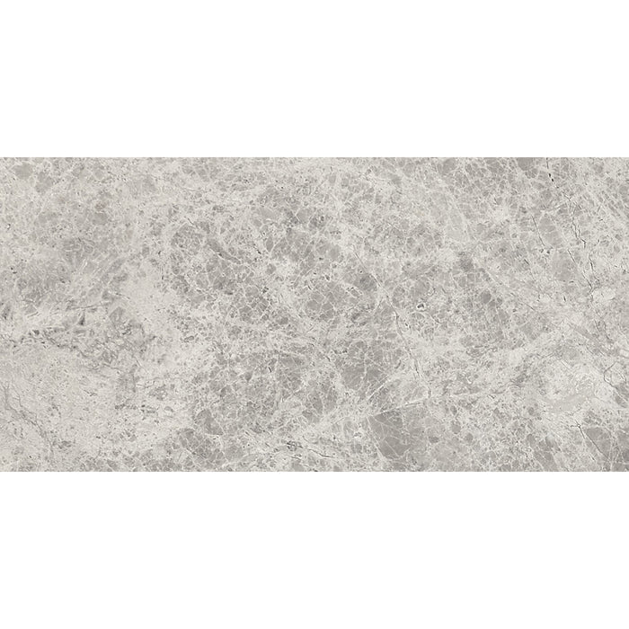 DW Tile & Stone - Silver Shadow 6" x 12" Marble Tile - Polished