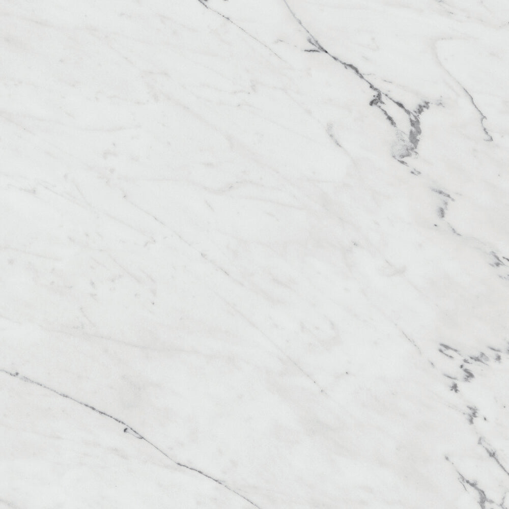 Daltile Marble Attache Lavish 24 in. x 24 in. Colorbody Porcelain Tile - Matte Diamond Carrara