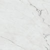 See Daltile Marble Attache Lavish 24 in. x 24 in. Colorbody Porcelain Tile - Polished Diamond Carrara