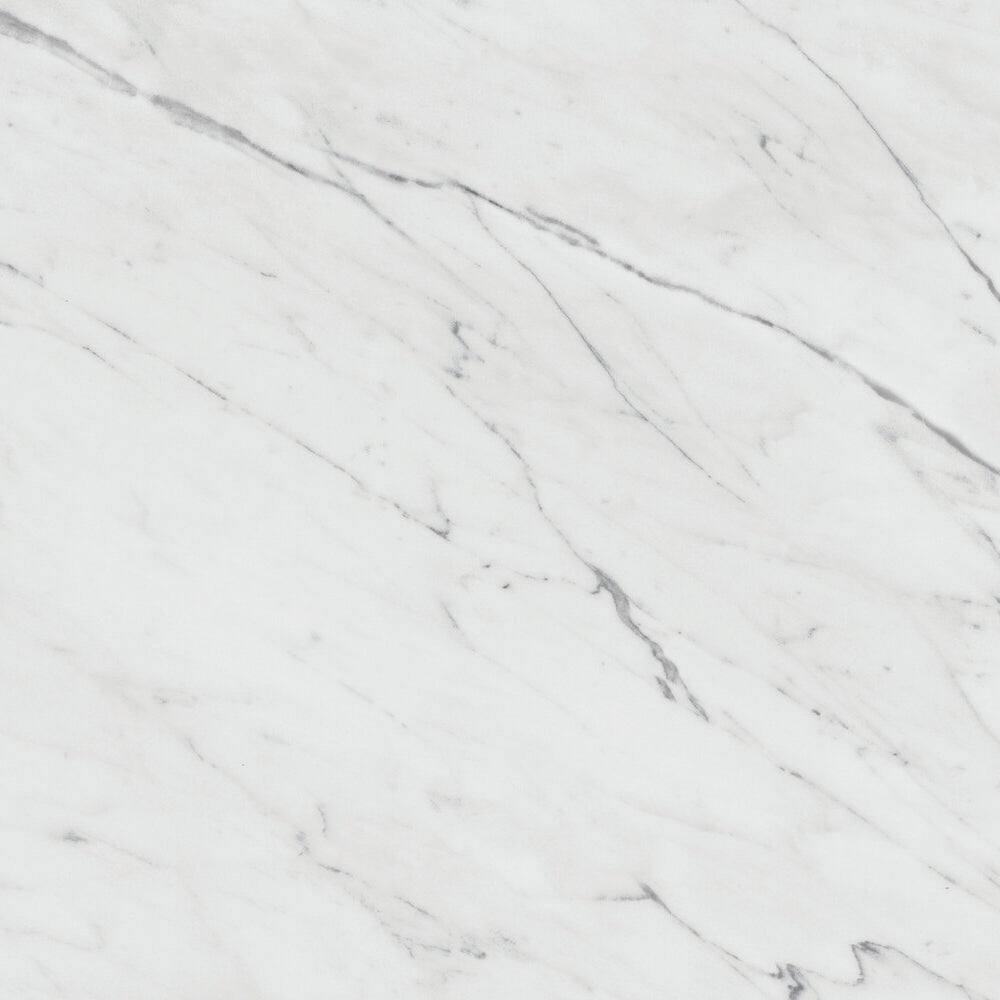 Daltile Marble Attache Lavish 24 in. x 24 in. Colorbody Porcelain Tile - Matte Diamond Carrara