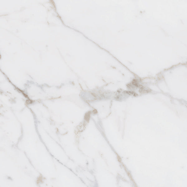 Daltile Marble Attache Lavish 24 in. x 24 in. Colorbody Porcelain Tile ...