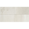 See Daltile - Modern Hearth - 12 in. x 24 in. Glazed Porcelain Tile - White Ash