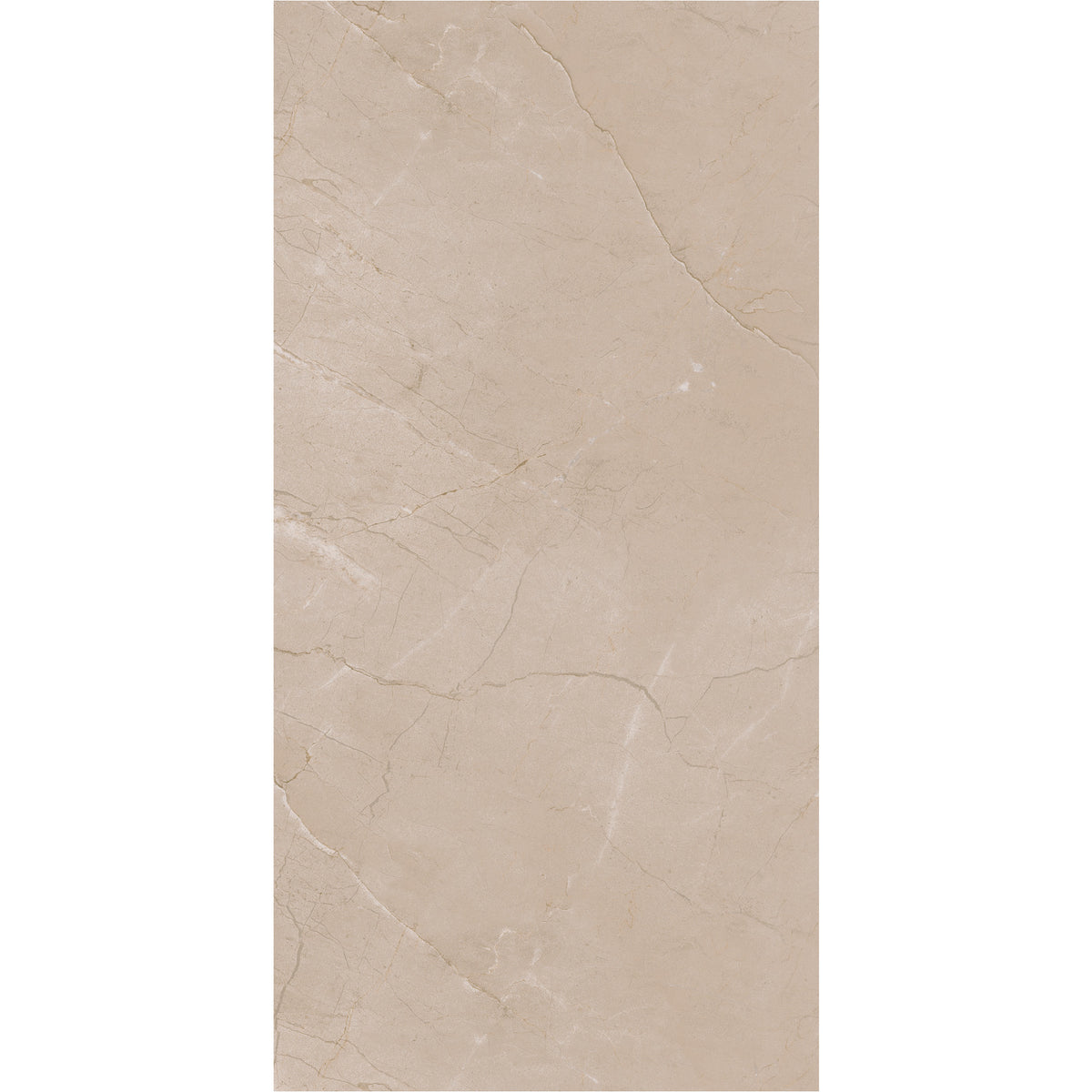 Daltile - Perpetuo - 12 in. x 24 in. Glazed Porcelain Floor Tile - Elegant Beige Matte 2