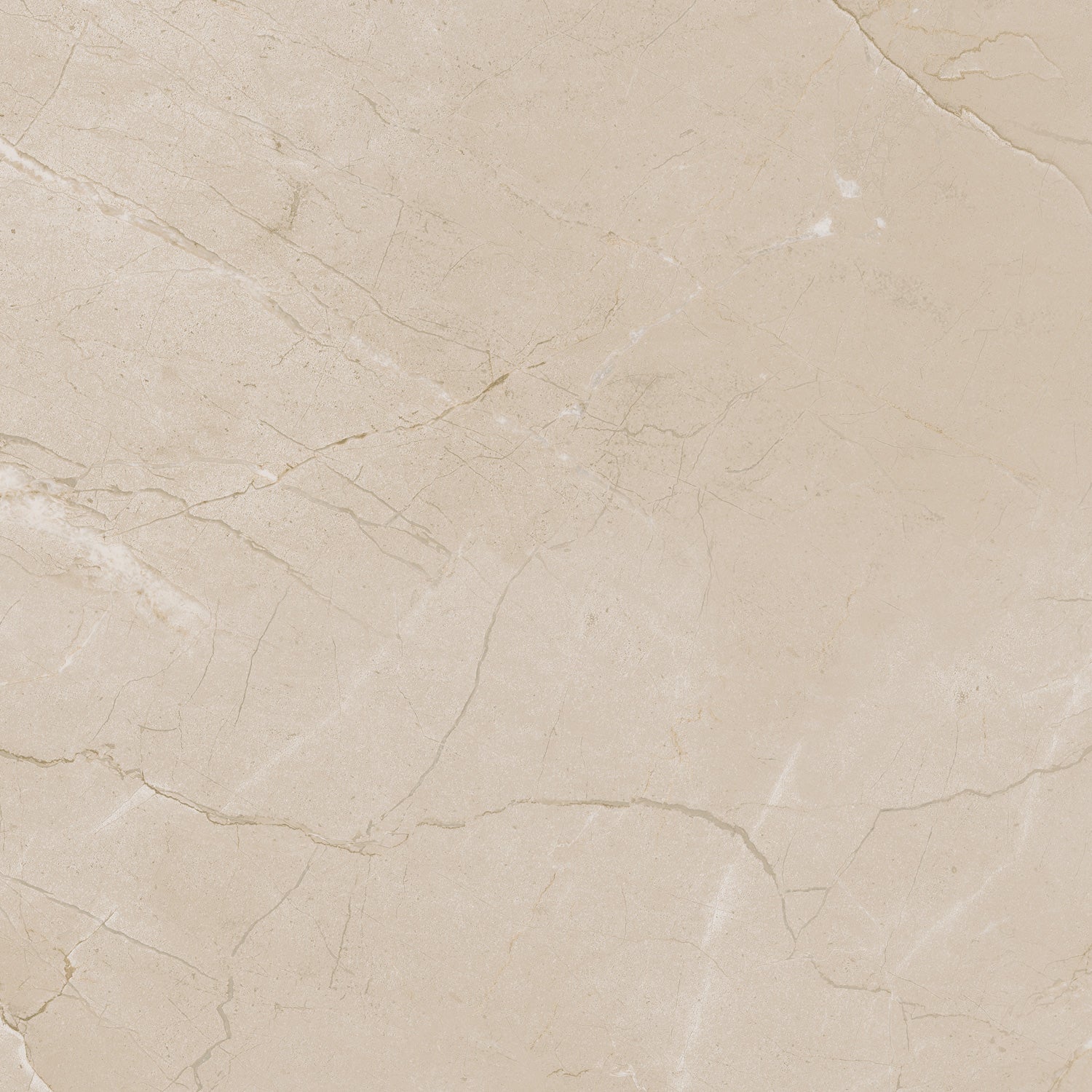 Daltile - Perpetuo - 12 in. x 12 in. Glazed Porcelain Floor Tile - Elegant Beige Matte