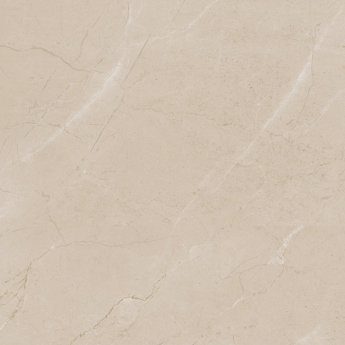 Daltile - Perpetuo - 24 in. x 24 in. Glazed Porcelain Floor Tile - Elegant Beige Polished 3