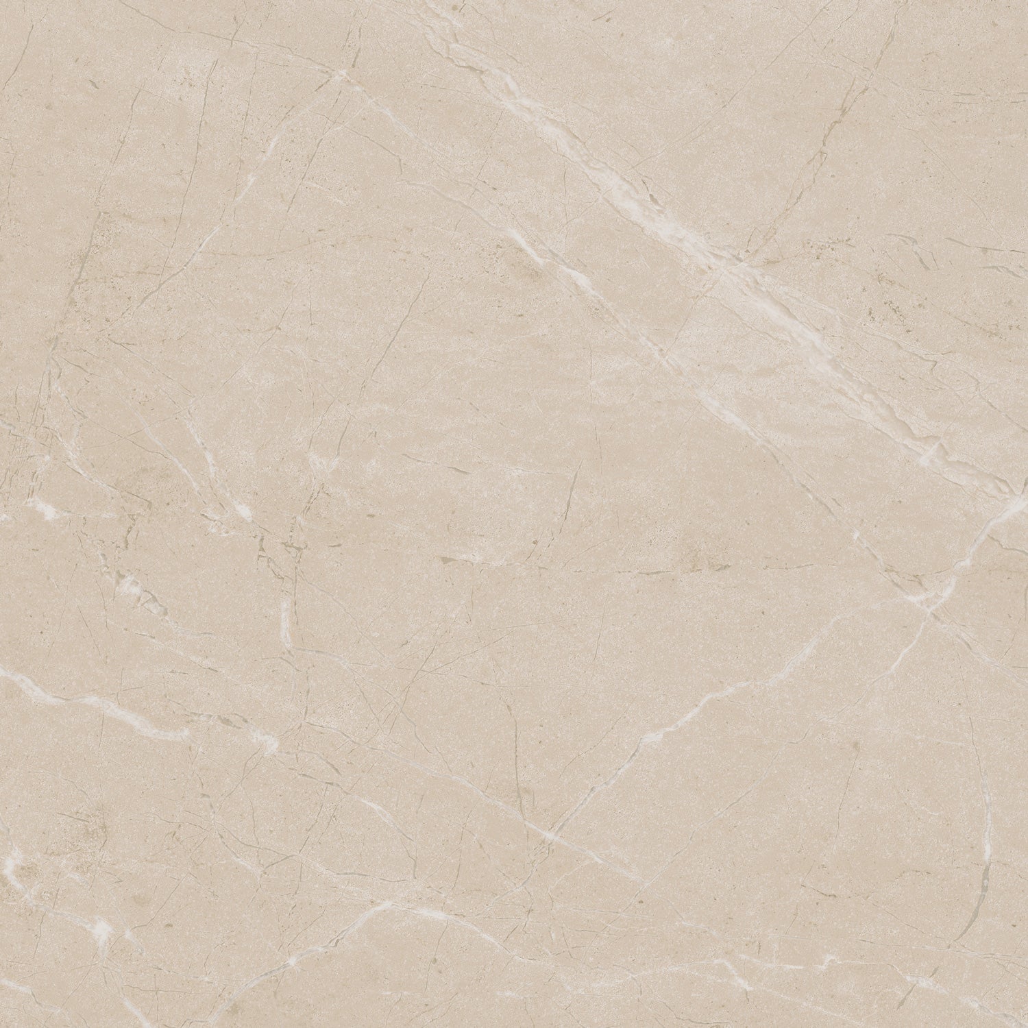 Daltile - Perpetuo - 24 in. x 24 in. Glazed Porcelain Floor Tile - Elegant Beige Matte