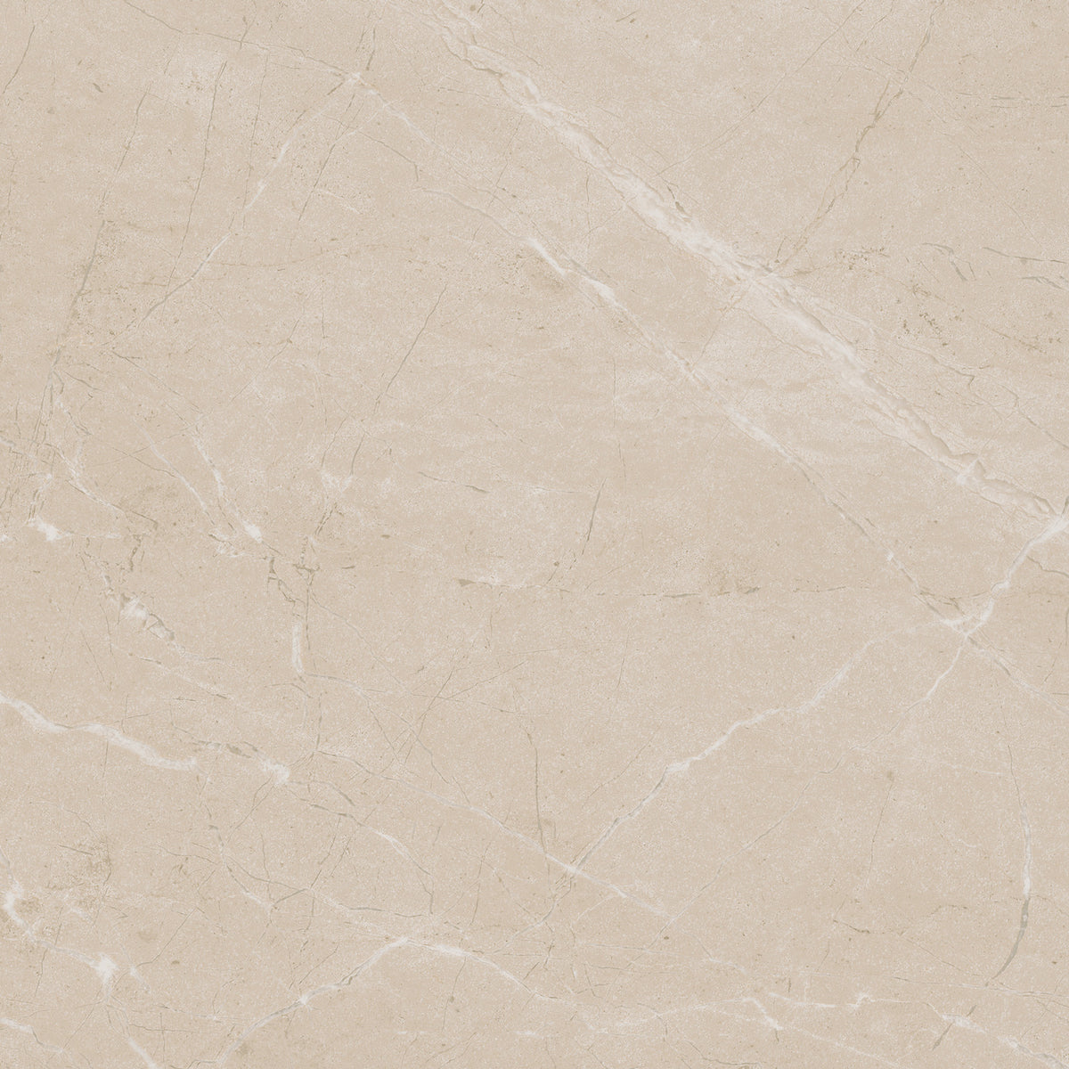 Daltile - Perpetuo - 24 in. x 24 in. Glazed Porcelain Floor Tile - Elegant Beige Polished