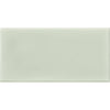 See Daltile RetroSpace 3 in. x 6 in. Wall Tile - Succulent Green