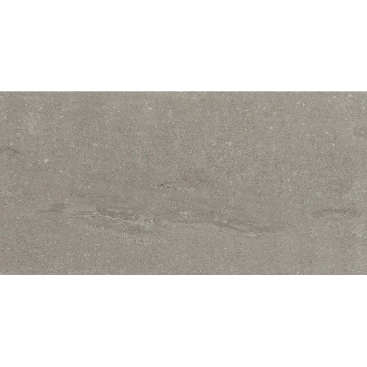 Daltile Raine 12&quot; x 24&quot; Marble Tile - Honed - Cumulus Grey M019