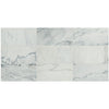 See Daltile Raine 12