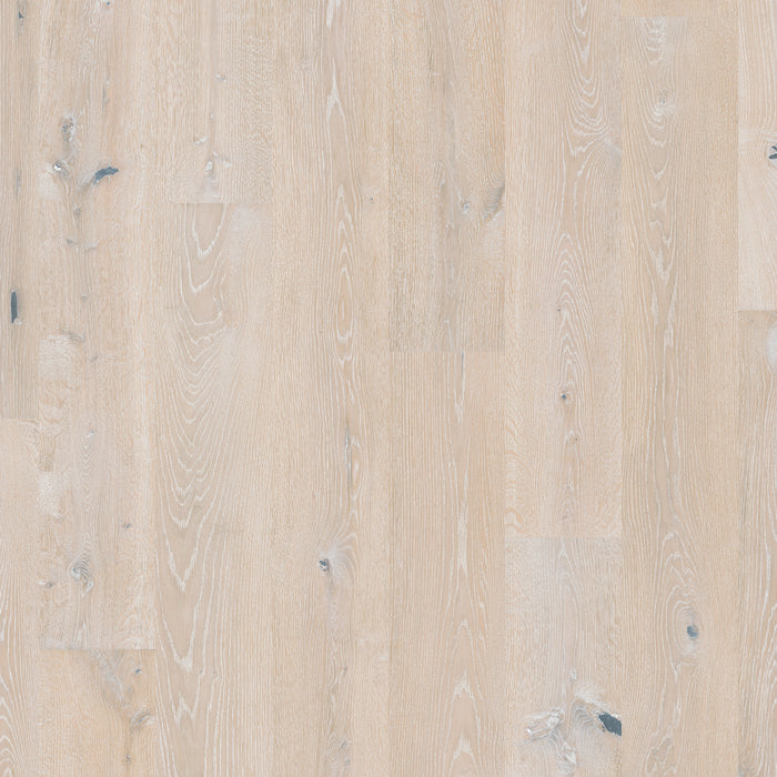 DuChateau - Atelier Series 9.5 in. Aged Character - Ice Blink