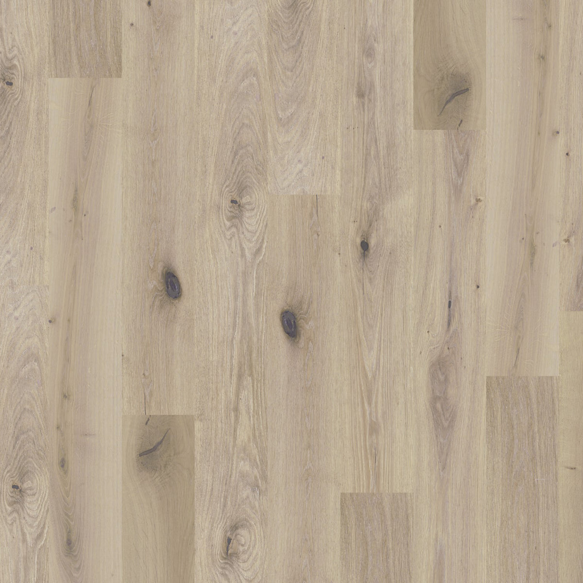 DuChateau - The Global Winds Collection - Chinook — Floorzz