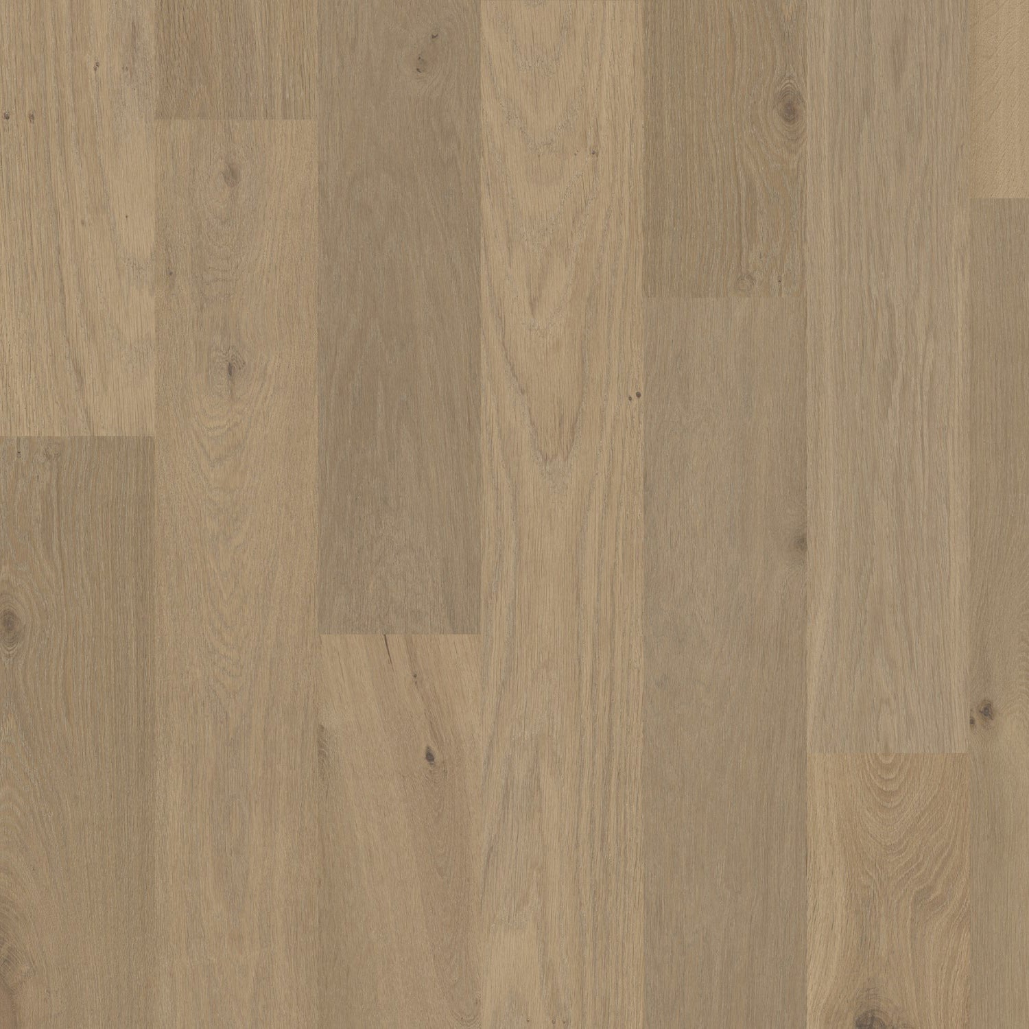 DuChateau - The Terra Collection - Savanna Herringbone - Floorzz