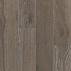 See Bruce - Standing Timbers Collection - Coastal Edge
