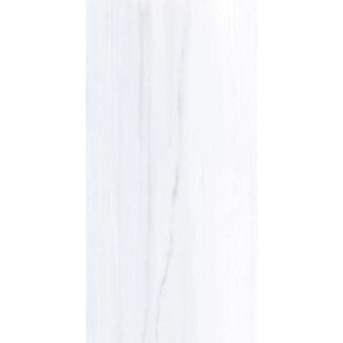 Elysium - Dolomite Supreme - 12 in. x 24 in. Polished Rectified Porcelain Tile - AN Dolomite
