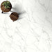 Emser Tile - Contessa™ Dama - Installed