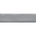 Emser Tile - Estasi 3 in. x 12 in. Glazed Ceramic Tile - Silver Glossy