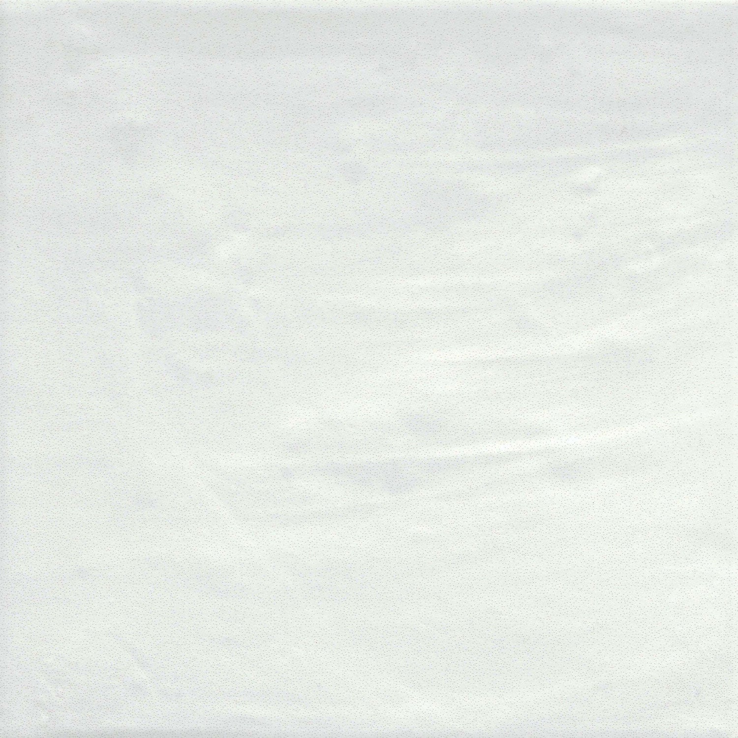 Emser Tile - Passion 9" x 9" Wall Tile - Blanco Matte