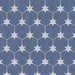 SomerTile - Stella Hex Porcelain Tile - Day Variation