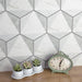 SomerTile - Classico Carrara Hexagon Peak 7"x 8" Porcelain Tile Wall Install