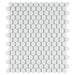 SomerTile - Gotham Penny Round Unglazed Mosaic - White