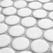 SomerTile - Hudson Penny Round Gloss Mosaic - Matte White Close View