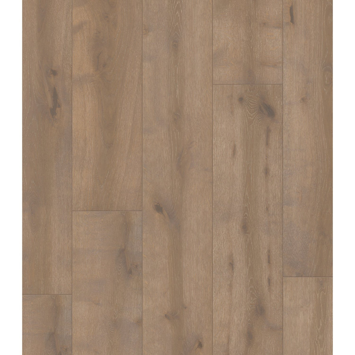 Fabrica - Wide Plank - Chateau Collection - Falaise