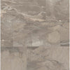 See Floors 2000 - Absolute 12 in. x 24 in. Matte Porcelain Tile - Taupe