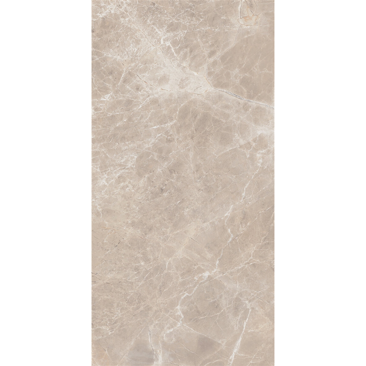 Floors 2000 - Alpha 12 in. x 24 in. Matte Porcelain Tile - Beige Matte