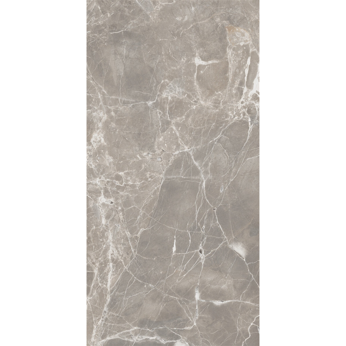 Floors 2000 - Alpha 12 in. x 24 in. Matte Porcelain Tile - Greige Matte