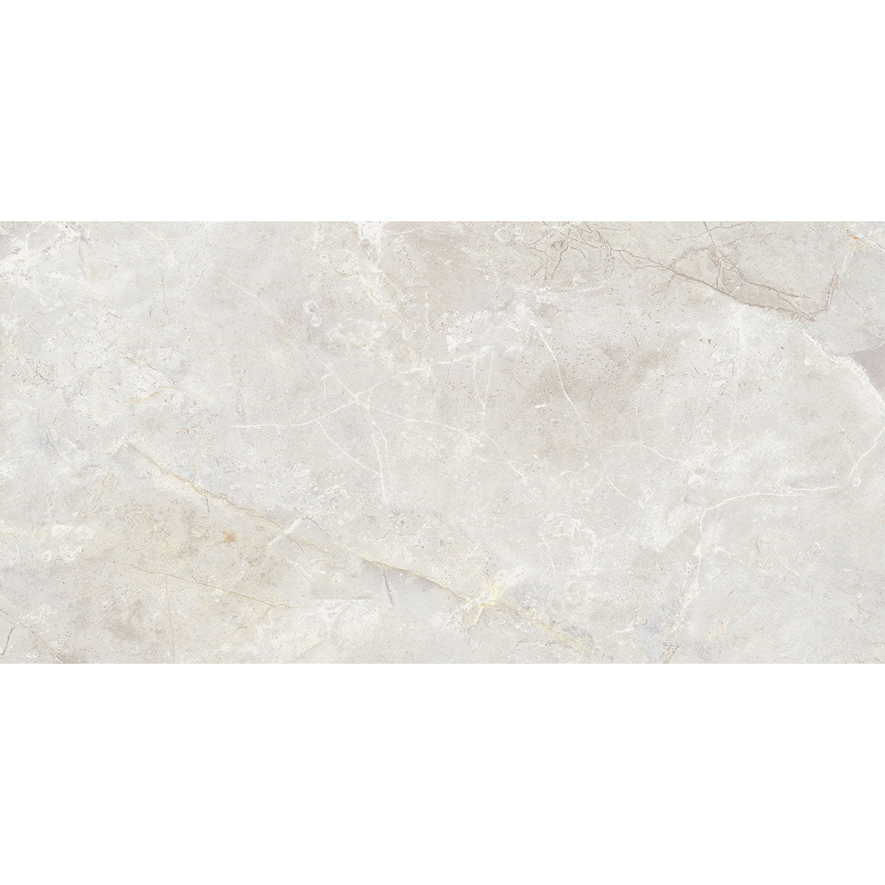 Floors 2000 - Amazon 12 in. x 24 in. Porcelain Tile - Bone Matte