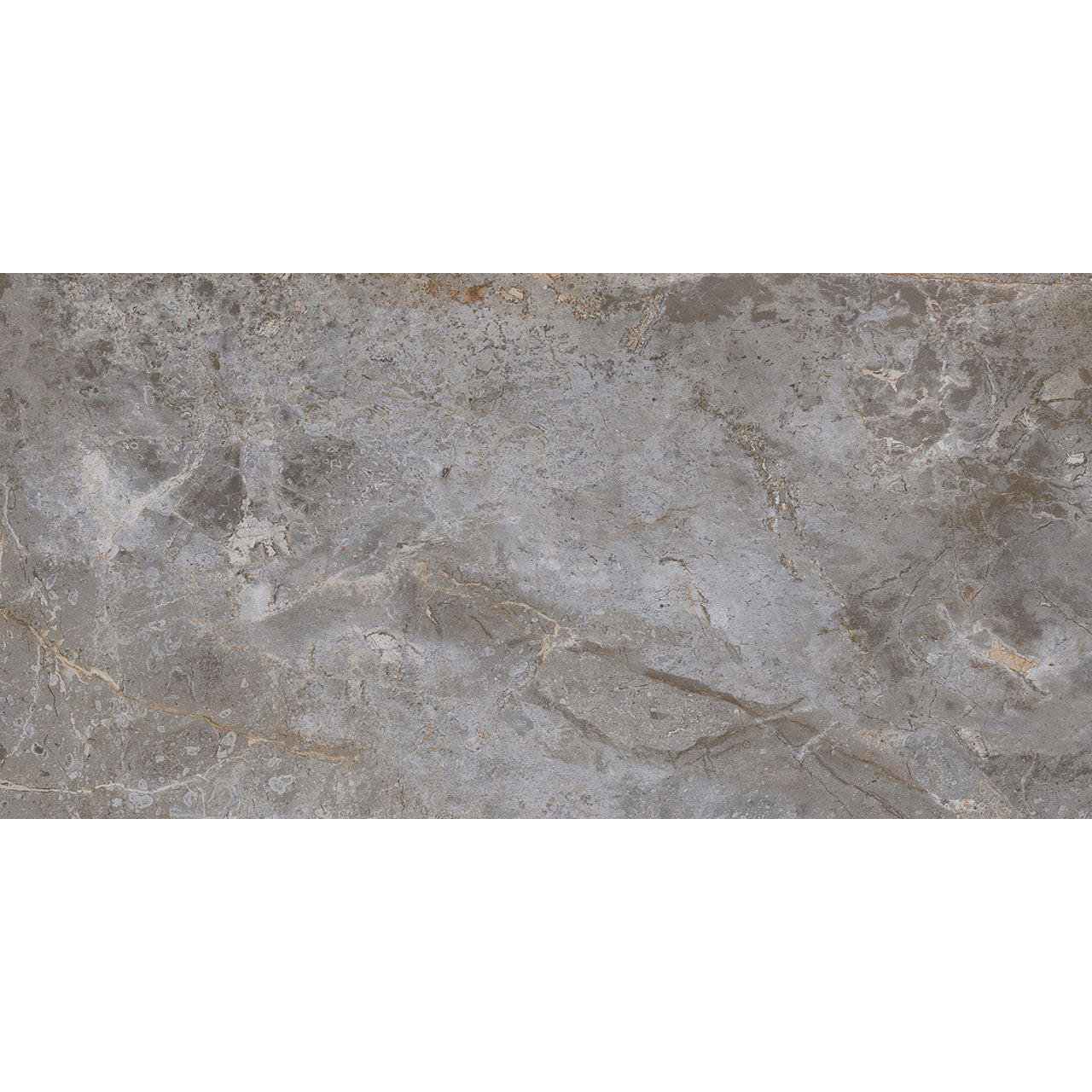 Floors 2000 - Amazon 12 in. x 24 in. Porcelain Tile - Grey Matte