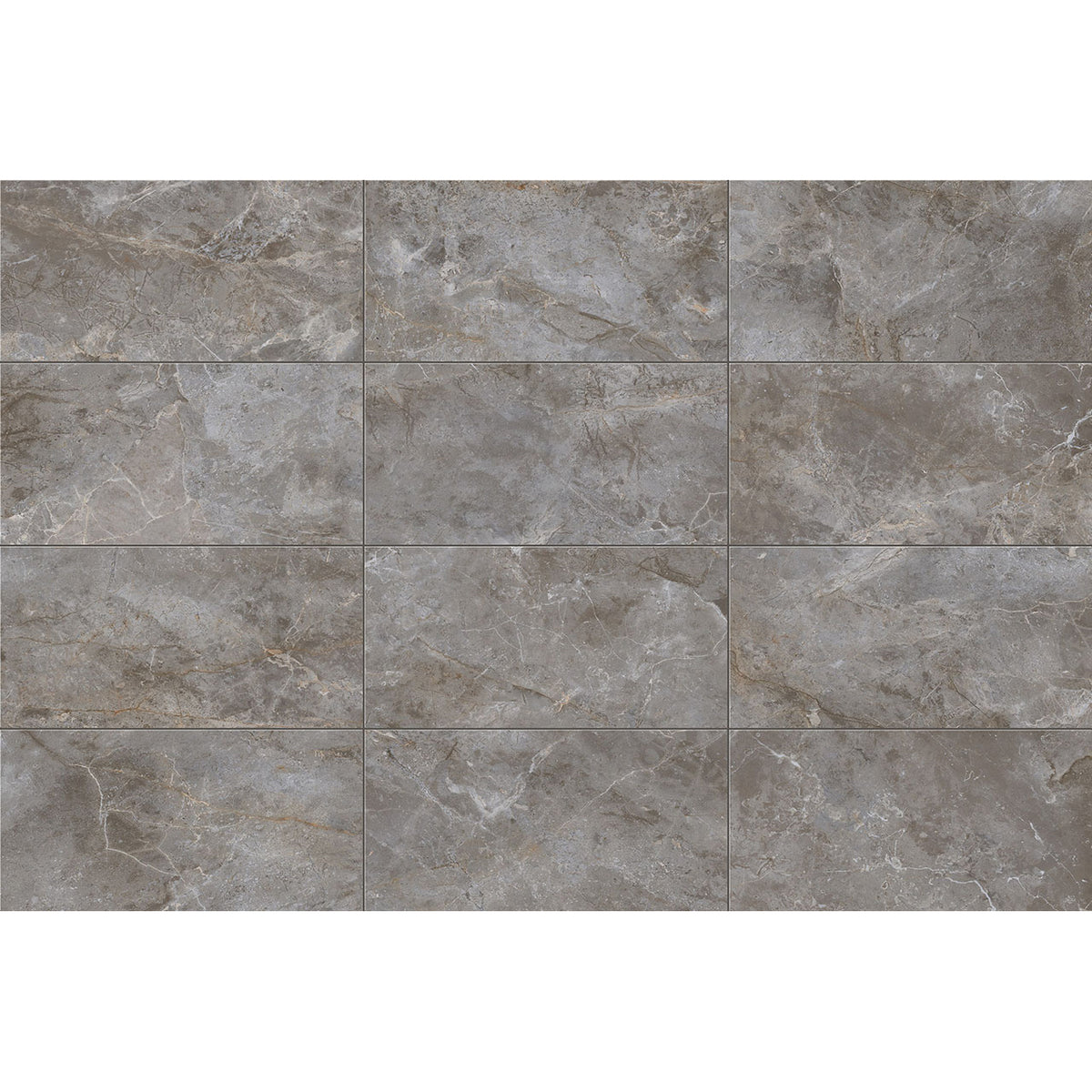 Floors 2000 - Amazon 12 in. x 24 in. Porcelain Tile - Grey Polished Variation