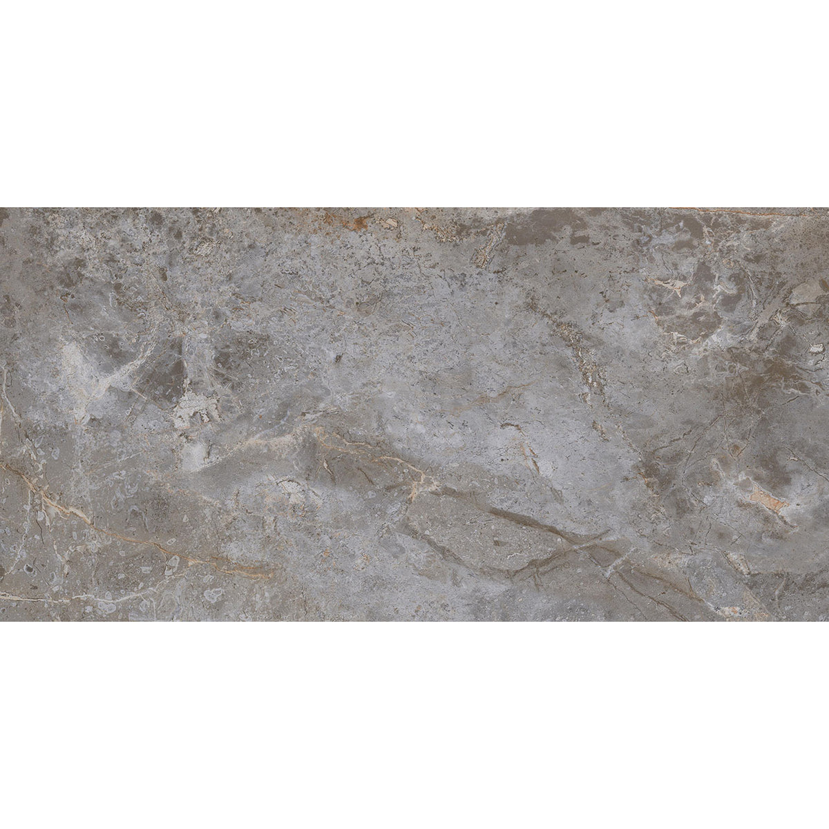 Floors 2000 - Amazon 12 in. x 24 in. Porcelain Tile - Grey Polished