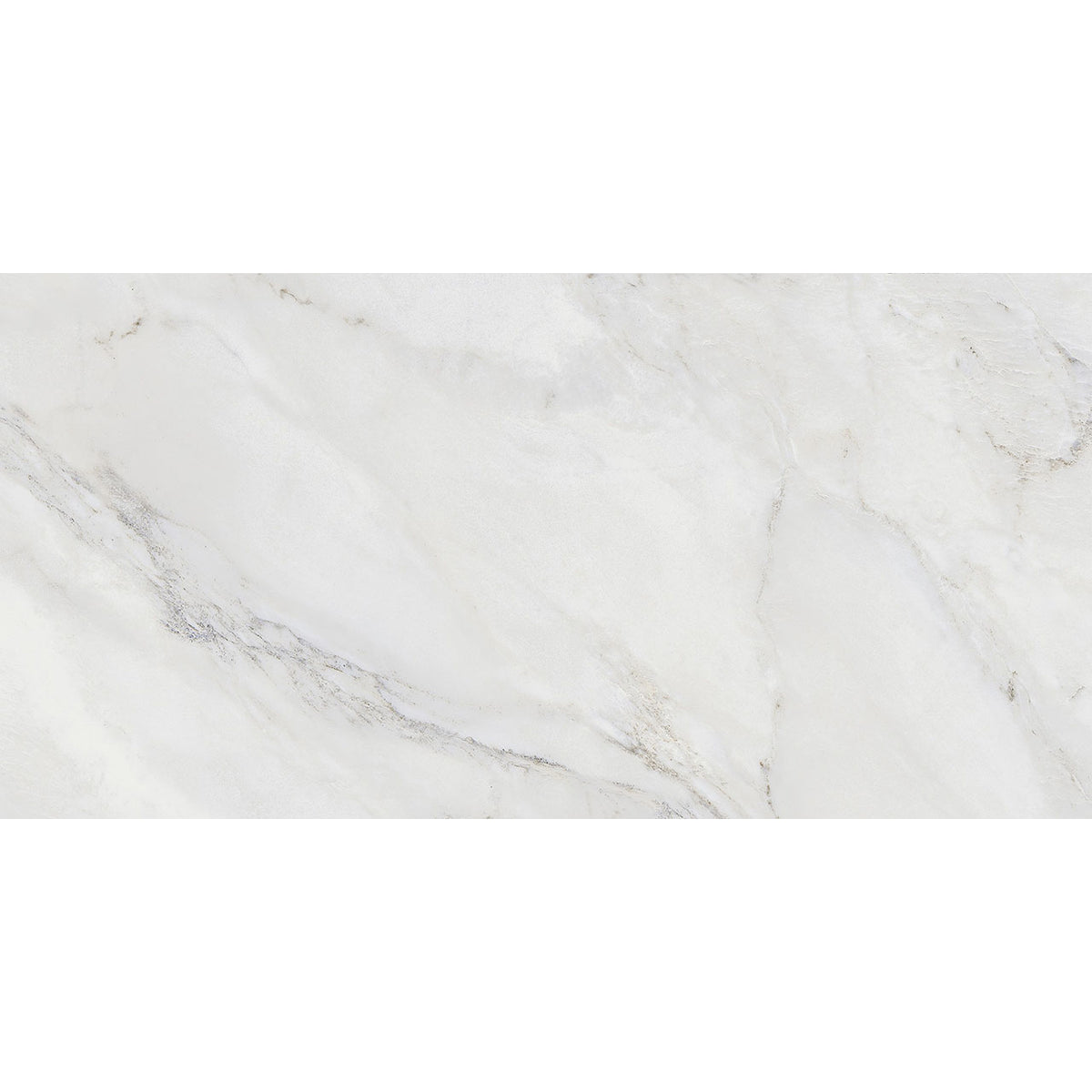 Floors 2000 - Anderson 12 in. x 24 in. Porcelain Tile - White Polished