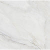 See Floors 2000 - Anderson 24 in. x 24 in. Porcelain Tile - White Polished