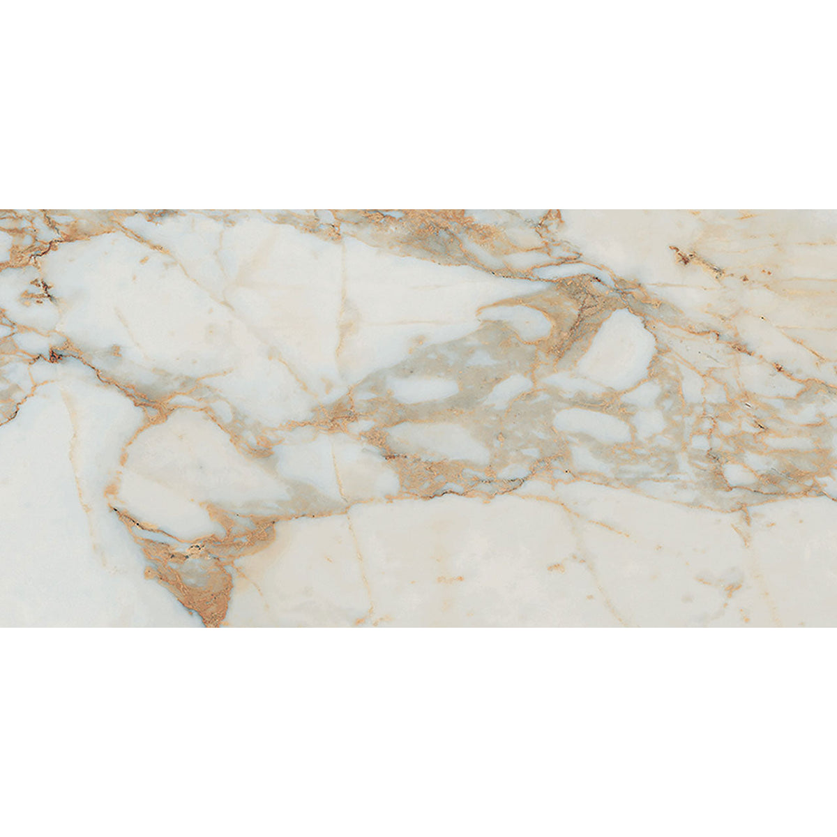 Floors 2000 - Classica 12 in. x 24 in. Matte Porcelain Tile - Calacatta Gold