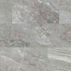 See Floors 2000 - Marbles 12 in. x 24 in. Porcelain Tile - Grey Polished