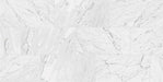 Floors 2000 - Marbles 12 in. x 24 in. Porcelain Tile - Carrara White Polished