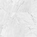 Floors 2000 - Marbles 12 in. x 24 in. Porcelain Tile - Carrara White Polished